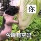 梦幻头像