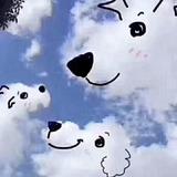 用户6965356049687头像