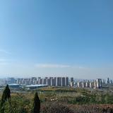 人长久车长安518头像