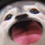 鐘於429头像