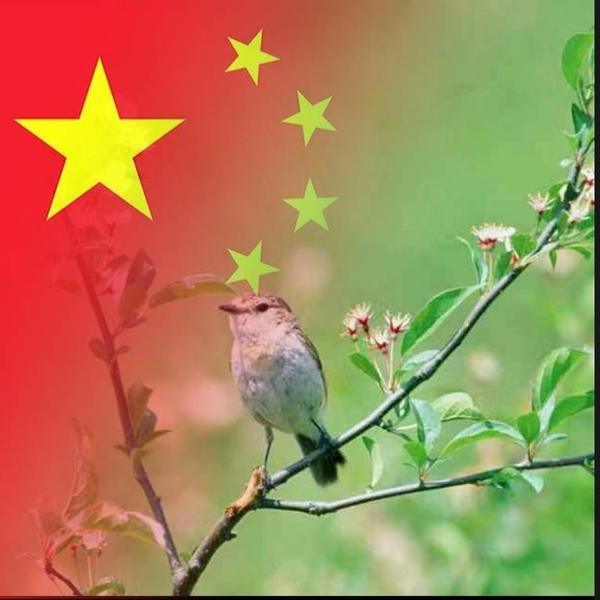 虚实神头像