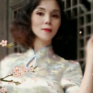 金菊安利头像