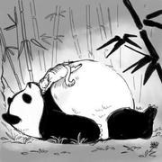hauk0101的个人资料头像