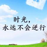 元气饺子e头像