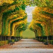 明明490的个人资料头像