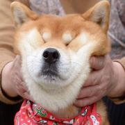 曈矞的个人资料头像