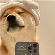 1的个人资料头像