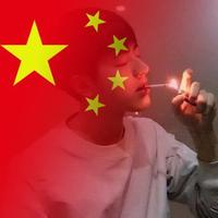 做个俗人干净自由306头像