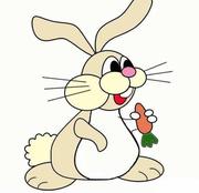 RabbitService的个人资料头像