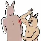 用户9205909847595头像