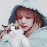 皱皱前进帽的个人资料头像