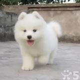灿烂阳光53713头像