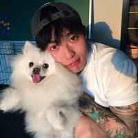 上进北镇6J9头像