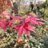 山阴水阳头像