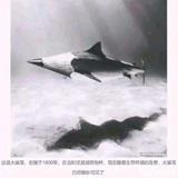 用户66571738头像