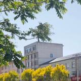 灵敏西柚yEz头像