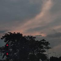 用户5303253974792头像