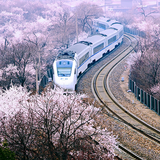 快乐绥芬河9头像