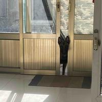 用户9832519028569头像