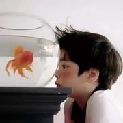 用户8881916155932的个人资料头像