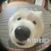 起个名字真的难的个人资料头像