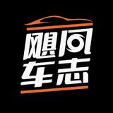 飓风车志头像