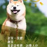 李先森3872头像