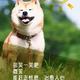李先森3872头像