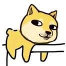 YGF的个人资料头像