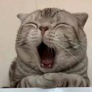 李明杰973的个人资料头像