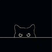 Anonyf的个人资料头像