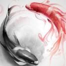 黑将军的个人资料头像