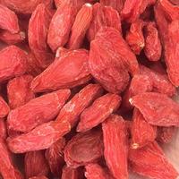 银川印象枸杞购物头像