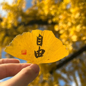 远方的海浪头像