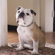 couch_potato的个人资料头像