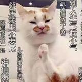 洒脱冰淇淋oWy头像