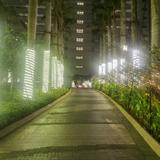 王王王山大王头像