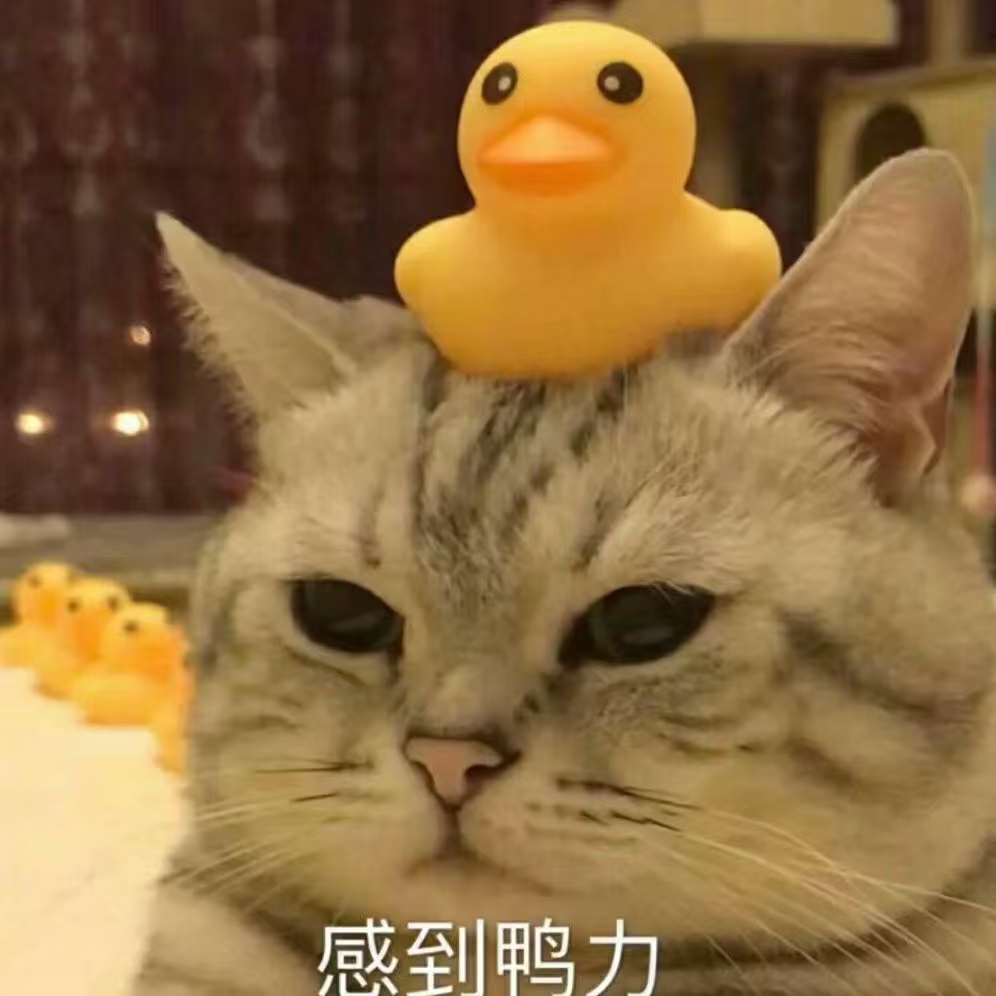 赤霄的个人资料头像