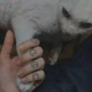 丁厌的个人资料头像