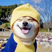 陌上仨的个人资料头像