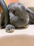 wanzi的个人资料头像