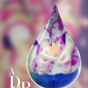 前路多坚的个人资料头像