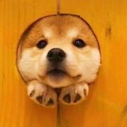 城南屋檐下的个人资料头像