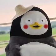 皮zai的个人资料头像