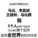 小白就是我52774的个人资料头像