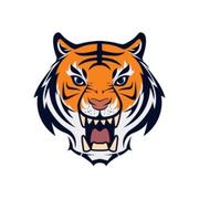 刘立平的个人资料头像