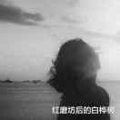 红磨坊后的白桦树的个人资料头像