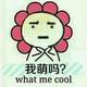 你个臭嗨662头像