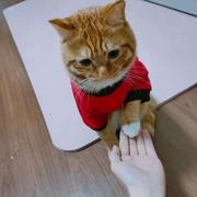 菜鸟aima的个人资料头像