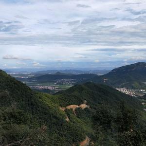 不会飞的黎明头像
